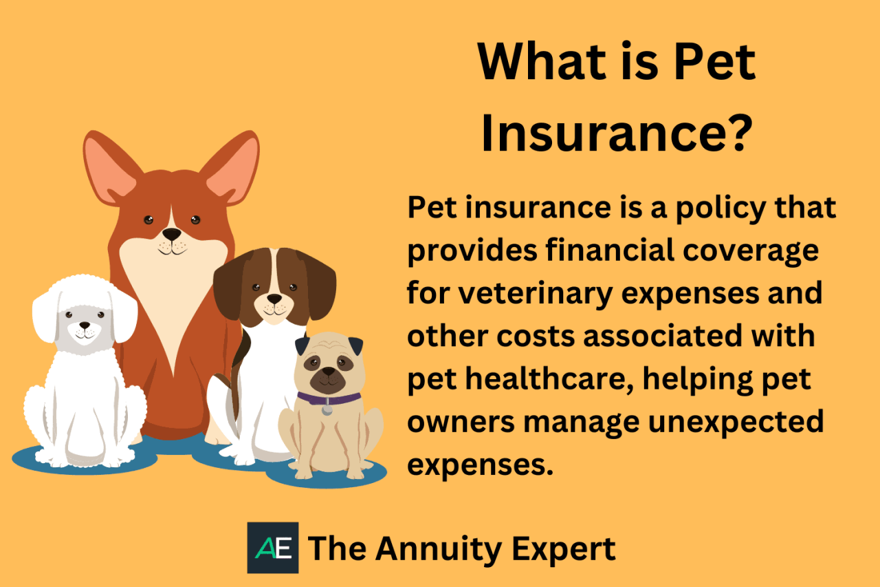 Pet insurance