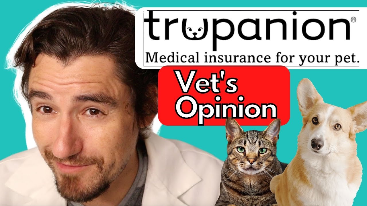 Trupanion pet insurance