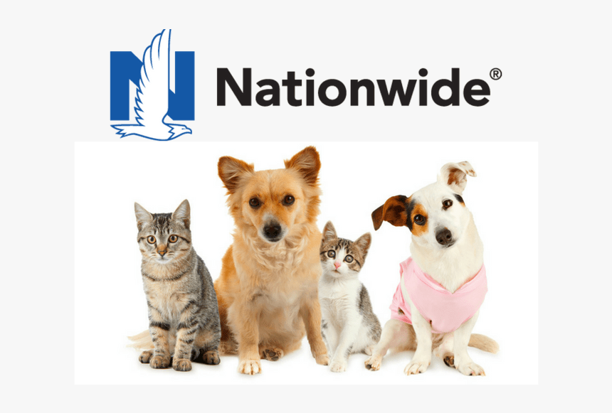 Nationwide pet insurance