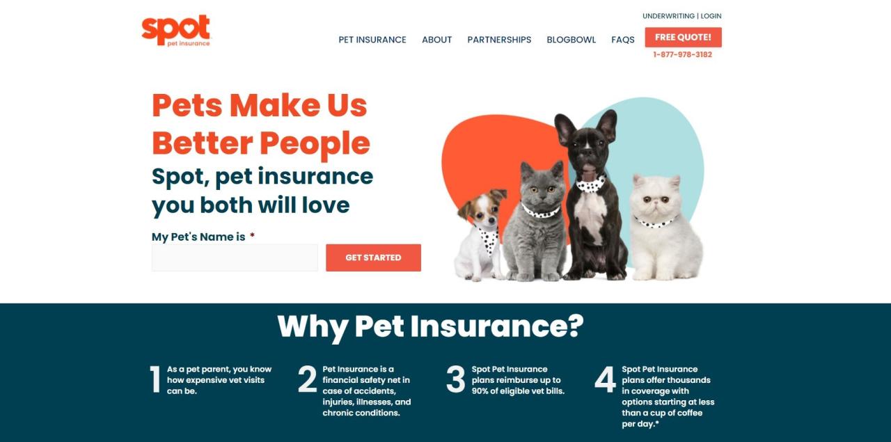 Spot pet insurance