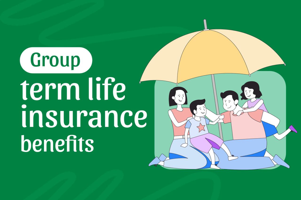 Term life insurance